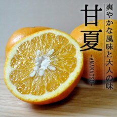 愛媛・八幡浜産「甘夏:5kg」(精品)【C48-11】 | ふるさと納税のお礼品