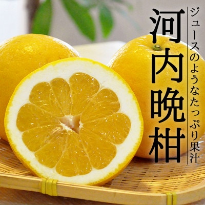 愛媛 八幡浜産 河内晩柑 5kg 精品 C48 13 お礼品詳細 ふるさと納税なら さとふる
