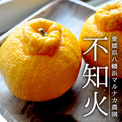 愛媛・八幡浜産「不知火:7kg」【訳あり】【C48-39】