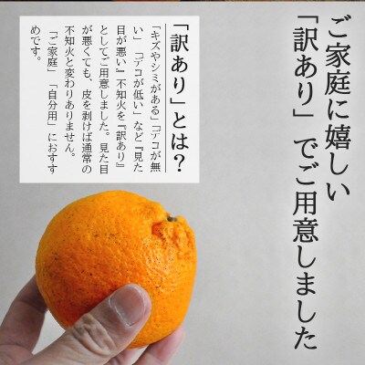 愛媛・八幡浜産「不知火:7kg」【訳あり】【C48-39】