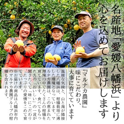 愛媛・八幡浜産「不知火:7kg」【訳あり】【C48-39】