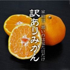 愛媛 みかん 6kg 訳アリ (サイズ:2S.S.M.L.2L) 八幡浜産【C48-41】 | ふるさと納税のお礼品