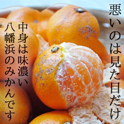 愛媛・八幡浜産「みかん:6kg【訳あり】(サイズ:2S.S.M.L.2L)」【C48-41】