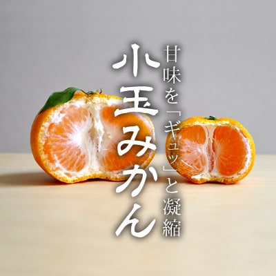 愛媛・八幡浜産「みかん:5kg 小玉(3S～Sサイズ)」【C48-42】