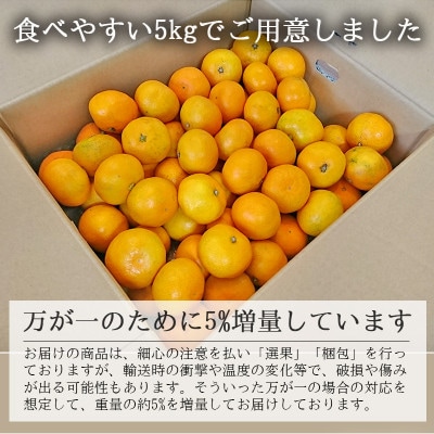 愛媛・八幡浜産「みかん:5kg 小玉(3S～Sサイズ)」【C48-42】