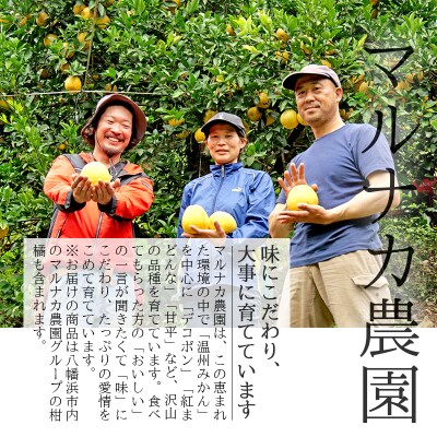 愛媛・八幡浜産「みかん:5kg 小玉(3S～Sサイズ)」【C48-42】