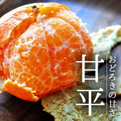 愛媛・八幡浜産「甘平:3kg」【訳あり】【D48-43】
