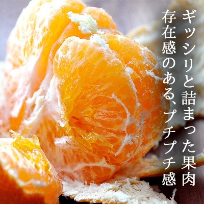 愛媛・八幡浜産「甘平:3kg」【訳あり】【D48-43】