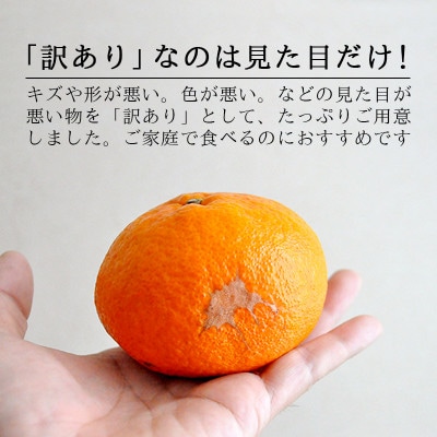 愛媛・八幡浜産「甘平:3kg」【訳あり】【D48-43】