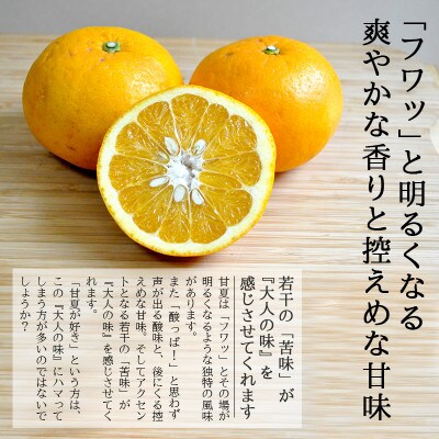愛媛・八幡浜産「甘夏:5kg」【訳あり】【C48-44】