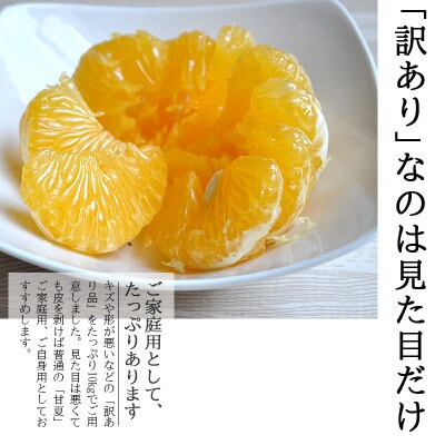 愛媛・八幡浜産「甘夏:5kg」【訳あり】【C48-44】
