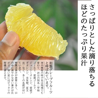 愛媛・八幡浜産「河内晩柑:6kg」【訳あり】【D48-45】