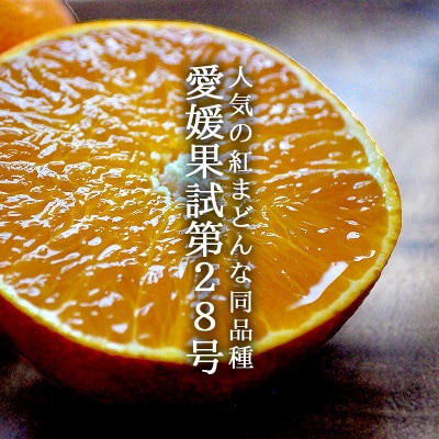 愛媛・八幡浜産「愛媛果試第28号(まどんな同品種):3kg」【訳あり】【C48-54】