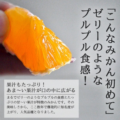 愛媛・八幡浜産「愛媛果試第28号(まどんな同品種):3kg」【訳あり】【C48-54】