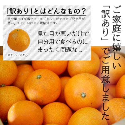 愛媛・八幡浜産「愛媛果試第28号(まどんな同品種):3kg」【訳あり】【C48-54】
