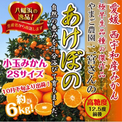 濃厚!やまご農園の「あけぼの小玉」約6kg【C39-21】