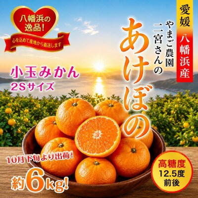 濃厚な味わい!やまご農園の「あけぼの小玉」約6kg【C39-21】