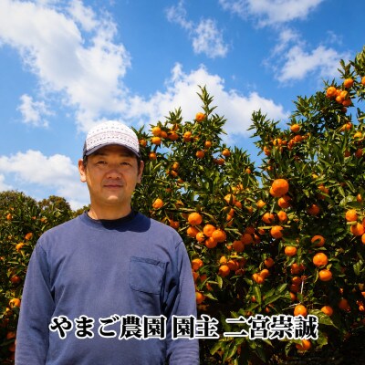 濃厚な味わい!やまご農園の「あけぼの小玉」約6kg【C39-21】