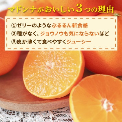 2026年11月発送開始　ぷるぷる新食感「マドンナ」約4kg　【D39-31】