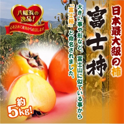 日本最大級の柿「富士柿」約5キロ 【C39-15】