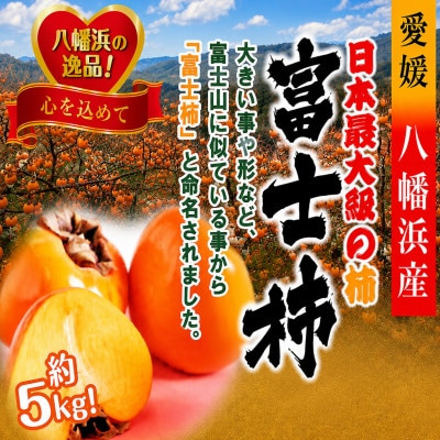 甘さにニッコリ日本最大級の柿「富士柿」約5キロ 【D39-15】
