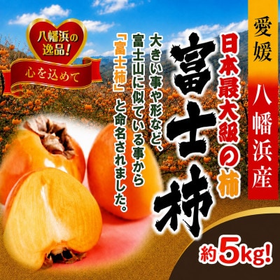 甘さにニッコリ・なめらか食感!日本最大級の柿「富士柿」約5キロ 【D39-15】