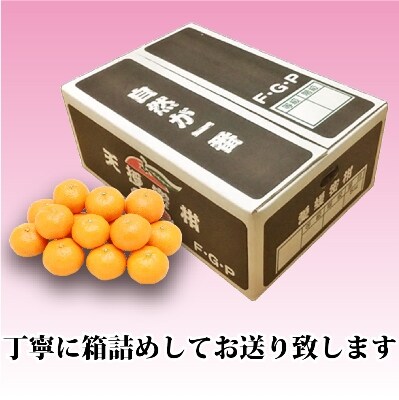 三つの光を浴びて育った「天授蜜柑」約5kg【C39-45】