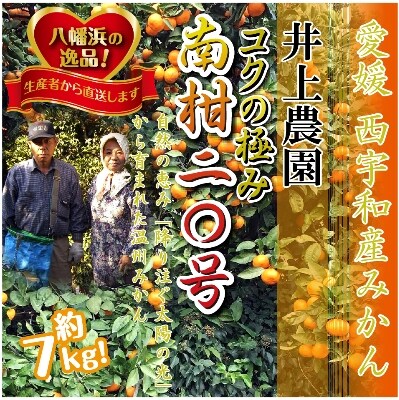 M、Sでお届け・濃厚な味わい! 井上農園「南柑20号」約7kg 【C39-12】