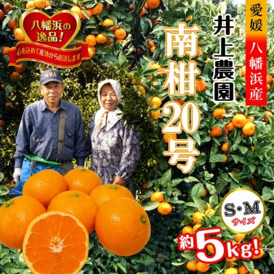 M、Sサイズでお届け・濃厚な味わい! 井上農園「南柑20号」約5kg 【C39-12】