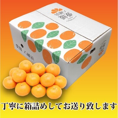 M、Sでお届け・濃厚な味わい! 井上農園「南柑20号」約7kg 【C39-12】