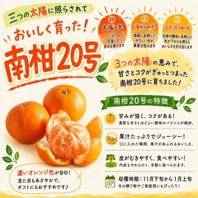 M、Sサイズでお届け・濃厚な味わい! 井上農園「南柑20号」約5kg 【C39-12】