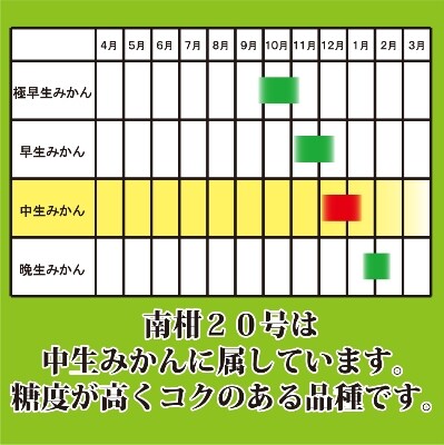 M、Sでお届け・濃厚な味わい! 井上農園「南柑20号」約7kg 【C39-12】