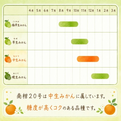 M、Sサイズでお届け・濃厚な味わい! 井上農園「南柑20号」約5kg 【C39-12】