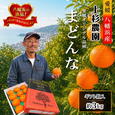 ギフト対応化粧箱入・上杉農園のぷるぷる新食感!「マドンナ」約3kg【D39-16】