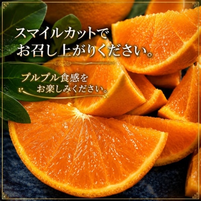 ギフト対応化粧箱入・上杉農園のぷるぷる新食感!「マドンナ」約3kg【D39-16】