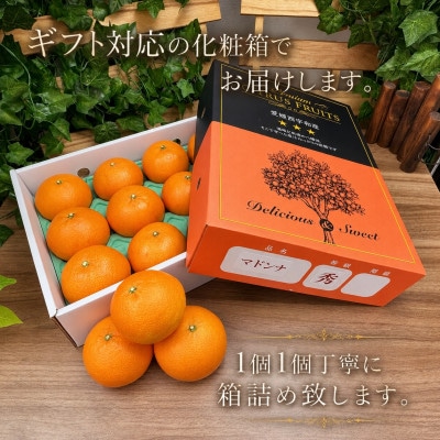 ギフト対応化粧箱入・上杉農園のぷるぷる新食感!「マドンナ」約3kg【D39-16】
