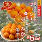 2025年11月発送開始　ぷるぷる新食感!「マドンナ」+濃厚!「小玉みかん」約5kg【D39-32】