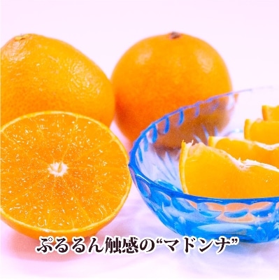 2025年11月発送開始　ぷるぷる新食感!「マドンナ」+濃厚!「小玉みかん」約5kg【C39-32】