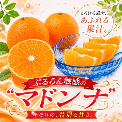 2026年11月発送開始　ぷるぷる新食感!「マドンナ」+濃厚!「小玉みかん」約5kg【D39-32】