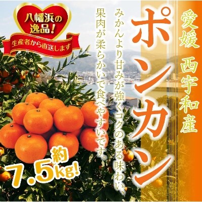 爽やかな香り。酸味が少なく甘みの強い「ポンカン」約7.5kg 【C39-38】