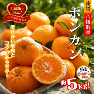 2027年1月出荷開始　爽やかな香り。酸味が少なく甘みの強い「ポンカン」約5kg 【C39-38】
