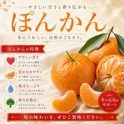 2027年1月出荷開始　爽やかな香り。酸味が少なく甘みの強い「ポンカン」約5kg 【C39-38】