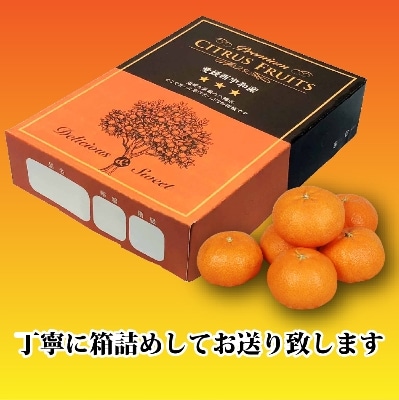 2025年2月発送開始　話題の愛媛オリジナル品種!富屋農園の「甘平」約3kg【C39-39】