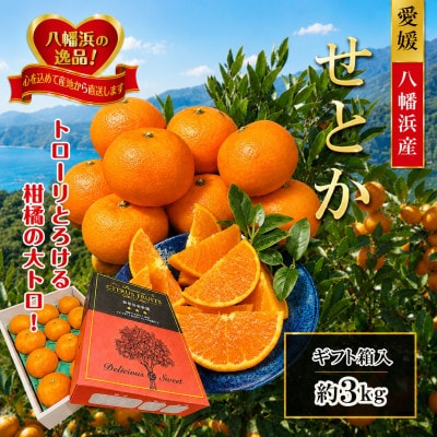 2027年2月～順次発送　柑橘の大トロ「せとか」約3kg  【D39-6】
