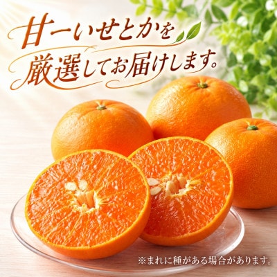 2027年2月～順次発送　柑橘の大トロ「せとか」約3kg  【D39-6】