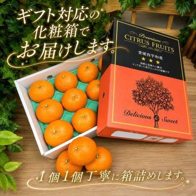 2027年2月～順次発送　柑橘の大トロ「せとか」約3kg  【D39-6】