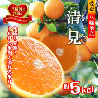 2026年3月出荷開始　完熟・果汁たっぷり!!「きよみ」約5kg　【C39-34】