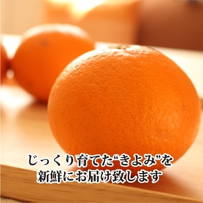 2026年3月出荷開始　完熟・果汁たっぷり!!「きよみ」約5kg　【C39-34】