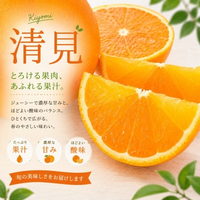 2027年3月出荷開始　完熟・果汁たっぷり!!「きよみ」約5kg　【D39-34】