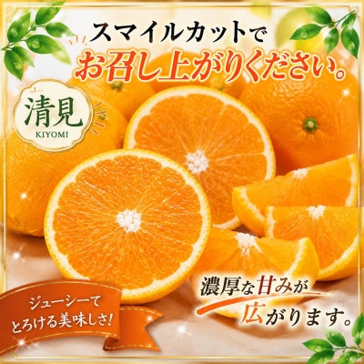 2027年3月出荷開始　完熟・果汁たっぷり!!「きよみ」約5kg　【D39-34】